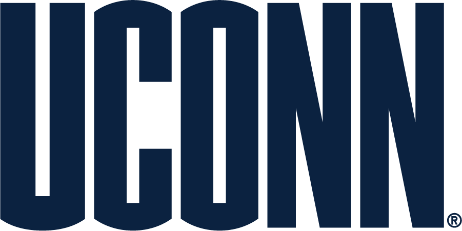 UConn Huskies 2010-2013 Secondary Logo v3 iron on transfers for T-shirts